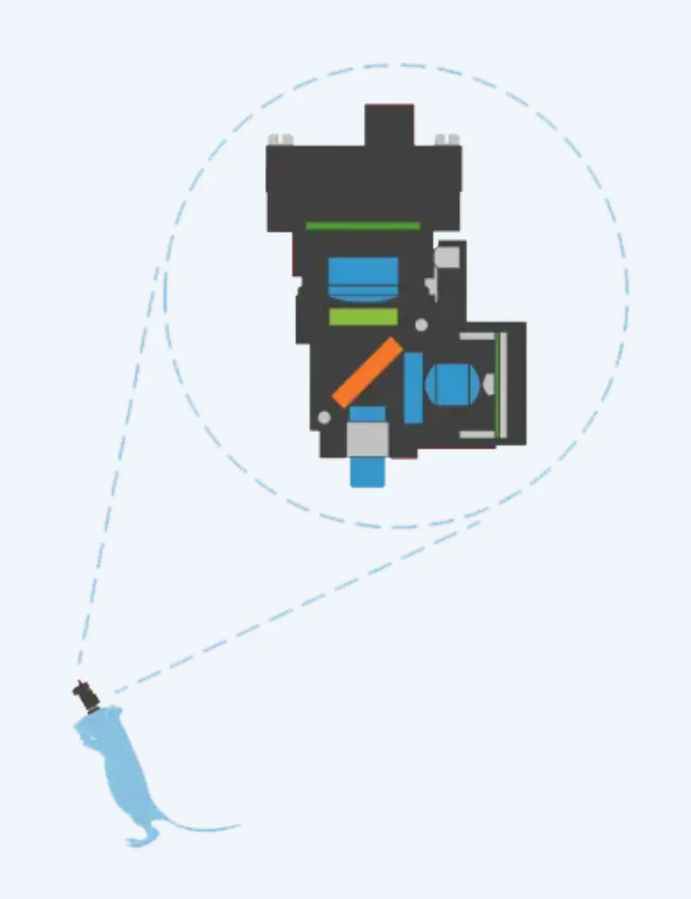 media 2